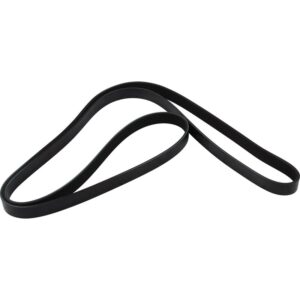 V-Ribbed Belt